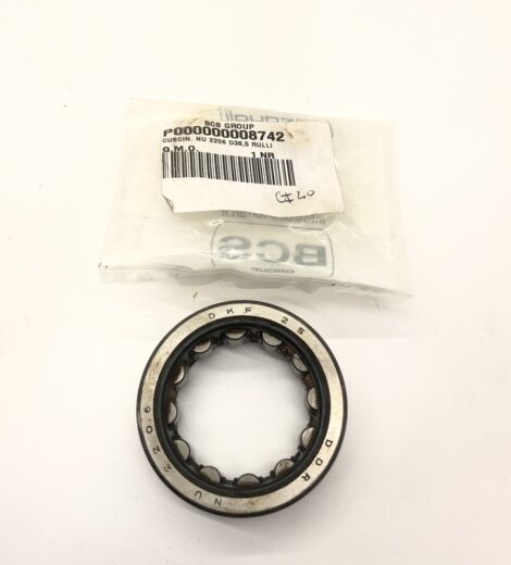 CYLINDRICAL ROLLER BEARING 38.5x62x20 WITHOUT INNER RING - BCS - P000000008742