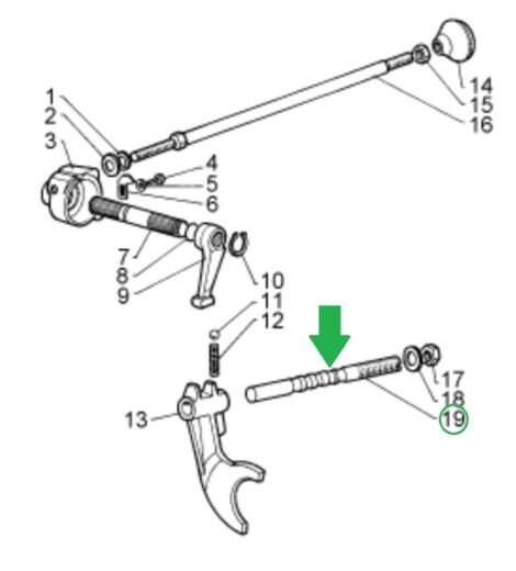 ASTA SELEZIONE MARCE - GOLDONI - 00001047