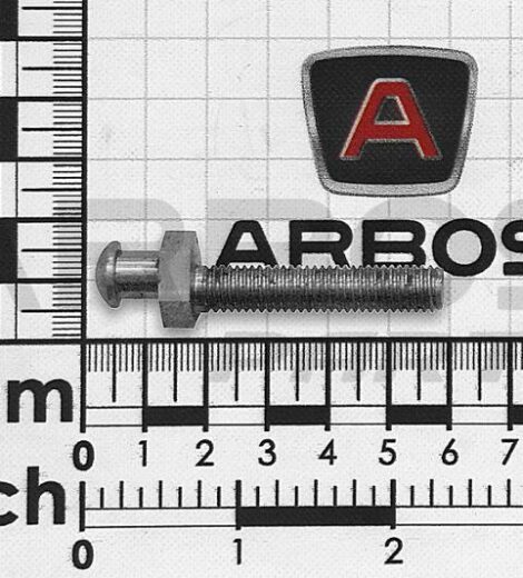 PERNO REGISTRO FORCELLA FRIZIONE - GOLDONI - 00001757