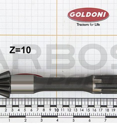 PIGNONE FRESA 22 22M A 10 DENTI LUNGHEZZA 195 mm. - GOLDONI - 00003254