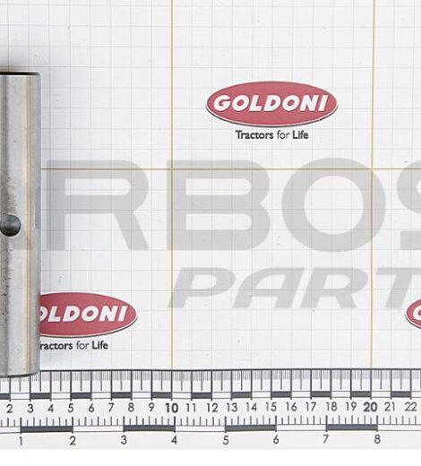 PERNO SNODO CENTRALE - GOLDONI - 00004555