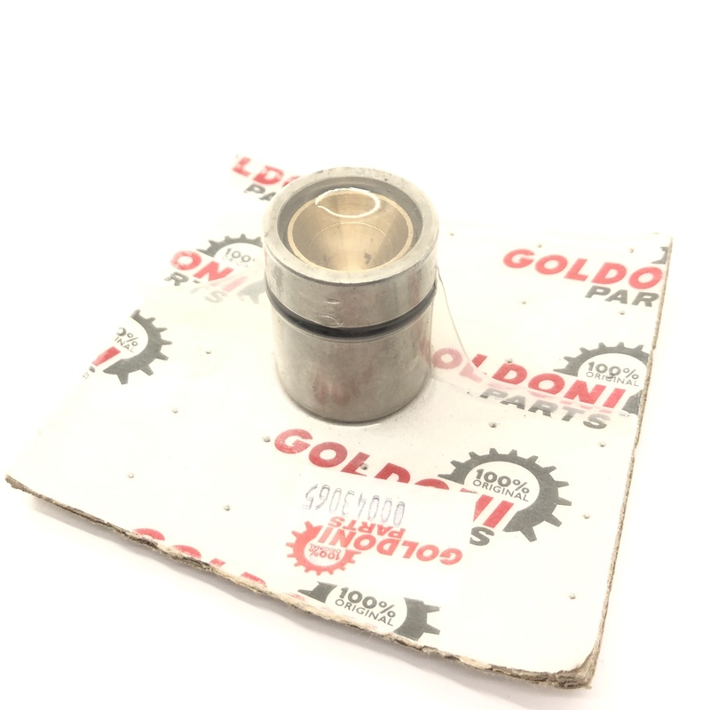 GOLDONI QUASAR BRAKE CYLINDER KIT WITH PISTON - GOLDONI - 00043065