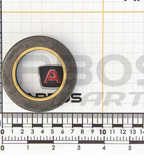 OIL SEAL 48x74x13 COMBI - GOLDONI - 06220167