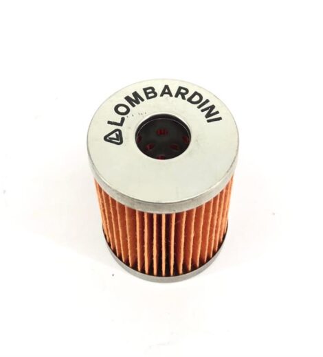 FILTRO GASOLIO LOMBARDINI SERIE 6LD - GOLDONI - 0L2175032
