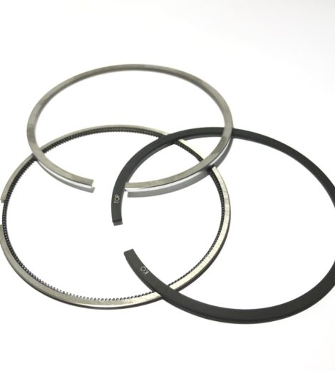 SERIE FASCE ELASTICHE LOMBARDINI 15LD350 15LD400 - GOLDONI - 0L8211239