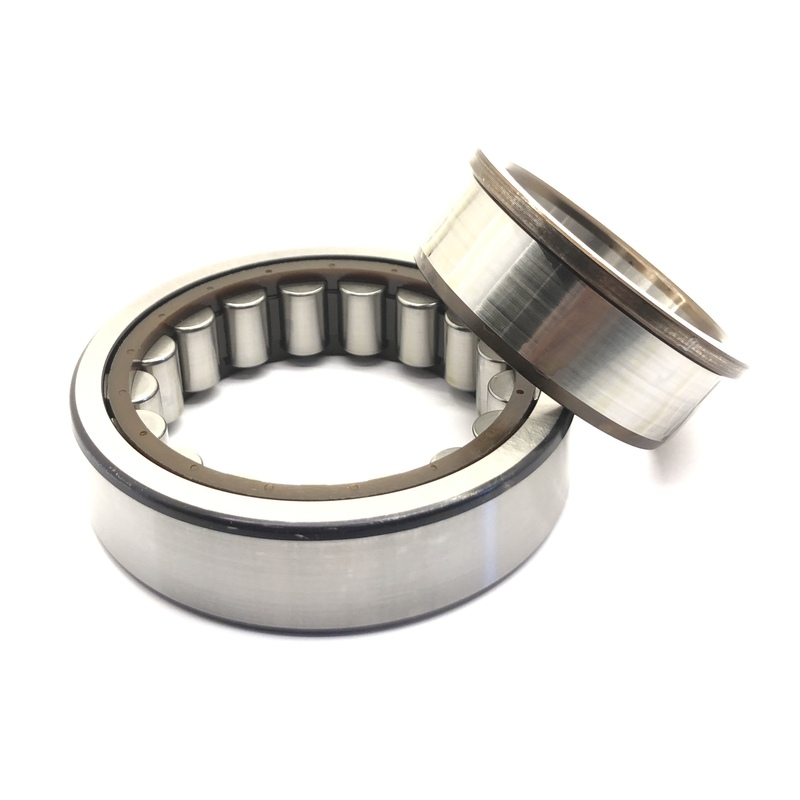 CYLINDRICAL ROLLER BEARING 55x100x25 - LANDINI - 3300945M1