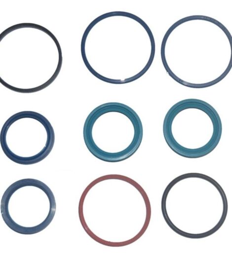 SERIE GUARNIZIONI CILINDRO IDROGUIDA GIULIANI - LANDINI - 3683183M91