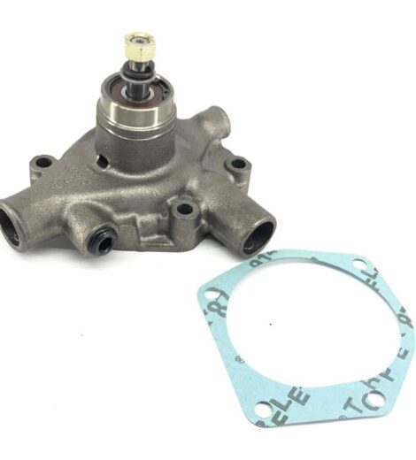 POMPA ACQUA ECOLINE - LANDINI - E3658100M91