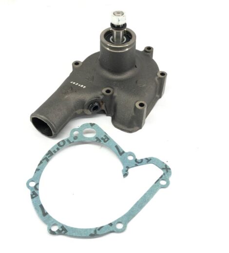 POMPA ACQUA ECOLINE - LANDINI - E3658106M91