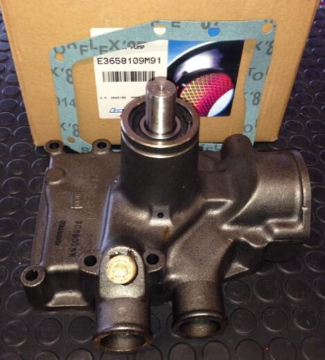 POMPA ACQUA ECOLINE TIPO U5MW0147 - LANDINI - E3658109M91