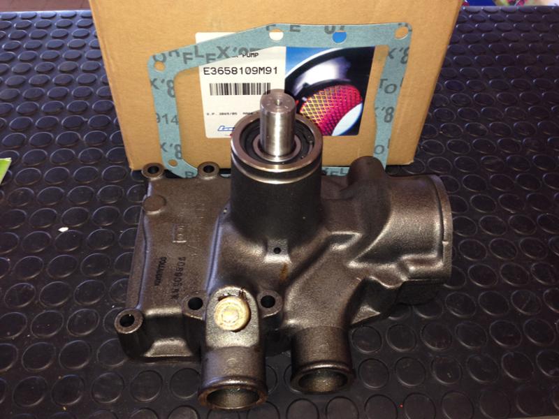 POMPA ACQUA ECOLINE TIPO U5MW0147 - LANDINI - E3658109M91