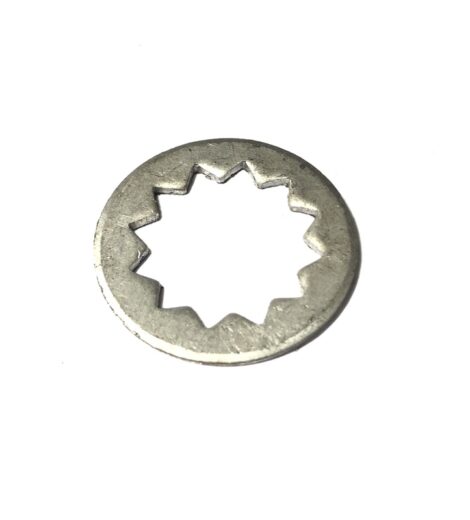 STELLA SEMINI GIOVE - MARZIA - 33616560