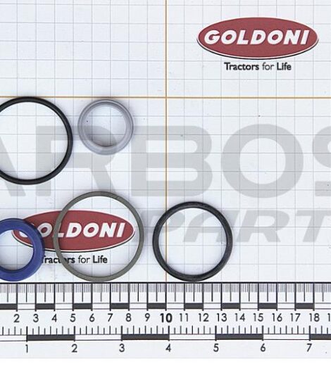 SERIES GASKETS CYLINDER POWER STEERING OGNIBENE - GOLDONI - 02060049