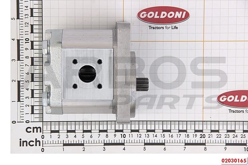 HYDRAULIC OIL PUMP - GOLDONI - 02030165