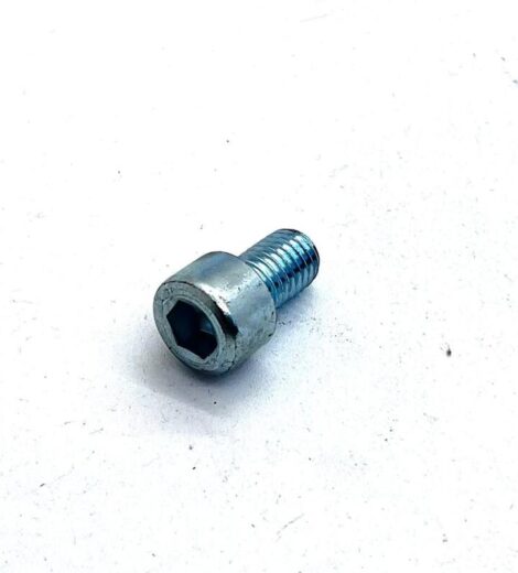 SCREW M10x16 ALLEN HEAD - GOLDONI - 06130039