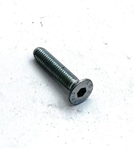 VITE TESTA TONDA SVASATA ESAGONO INCASSATO - LANDINI - 3009433X1