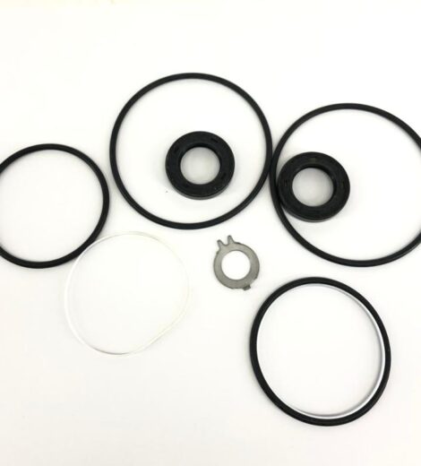 SEALS SERIES - CNH Originale - 8281576