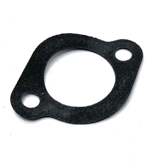 GUARNIZIONE 0312 - GOLDONI - 00011863