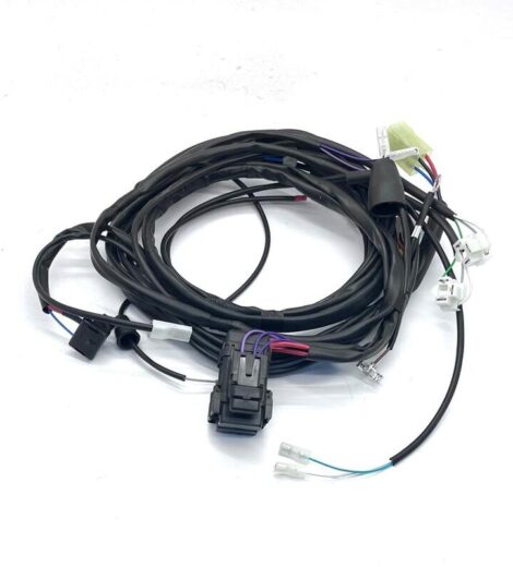 FRONT WIRING - LANDINI - 3654963M92