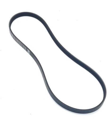 CINGHIA POLY - V - LANDINI - 6619110A1