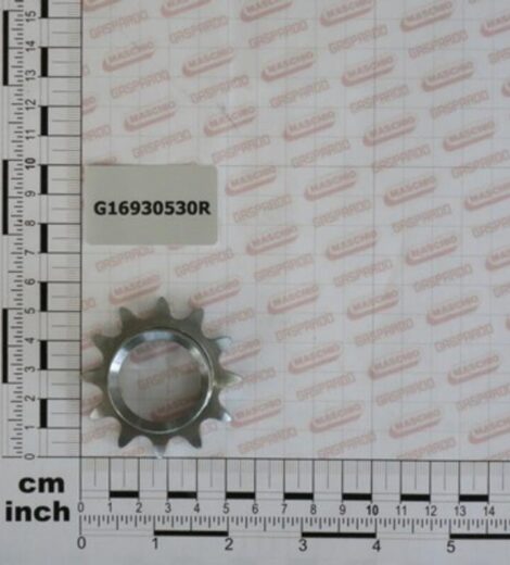 PIGNONE A 12 DENTI - 1 2-3 16 ZN - GASPARDO - G16930530R