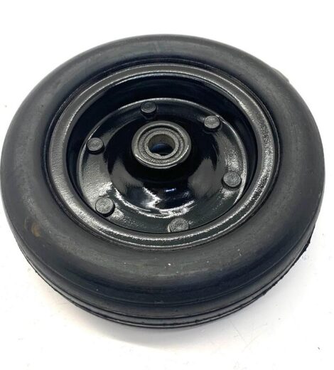 RUOTA ANTERIORE PIENA - BCS - 58194185