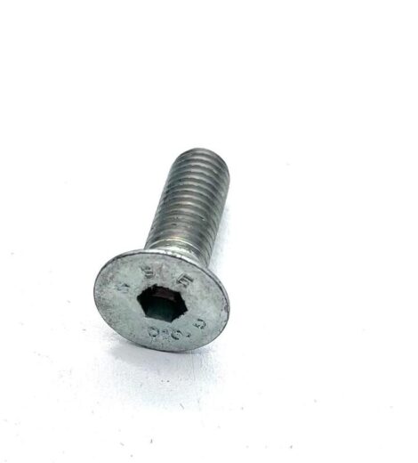 VITE TESTA CONICA TSPEI M8x25 mm. - GOLDONI - 06150296