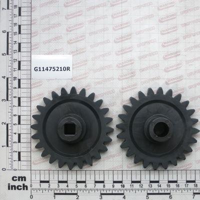 PAIR OF GEARS WITH 24 TEETH - GASPARDO - G11475210R