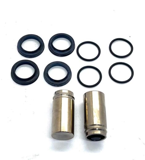 KIT 2 PISTONS AND SEALS - LANDINI - 6521361M91