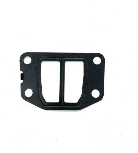 GUARNIZIONE - LANDINI - 6679108A1