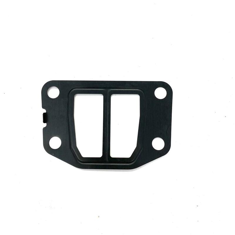 GUARNIZIONE - LANDINI - 6679108A1