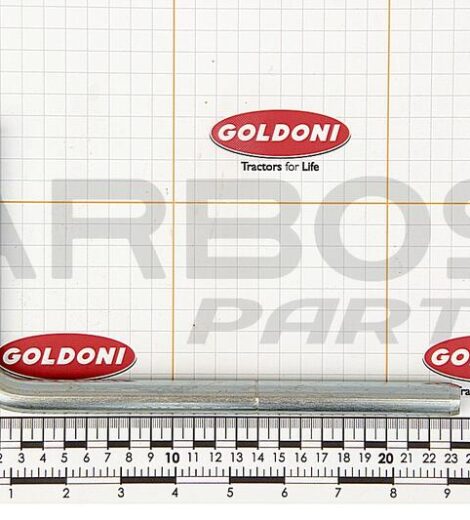 FRONT LIFT HOOK PIN - GOLDONI - 00038118