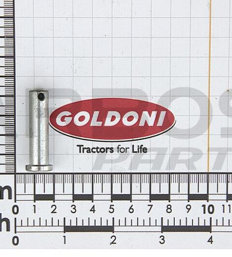 PIN DIAMETER 10x41 mm. - GOLDONI - 00041226
