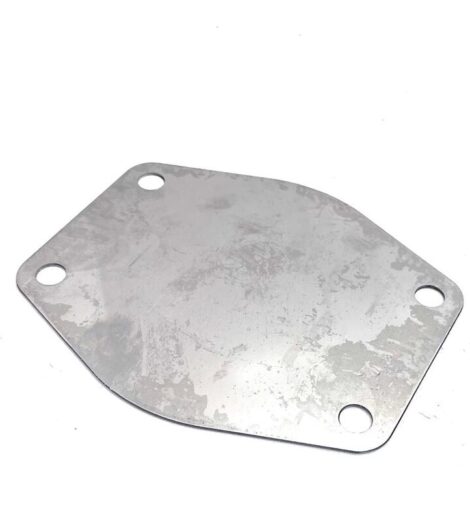 LID PLATE - LANDINI - 6678919A1