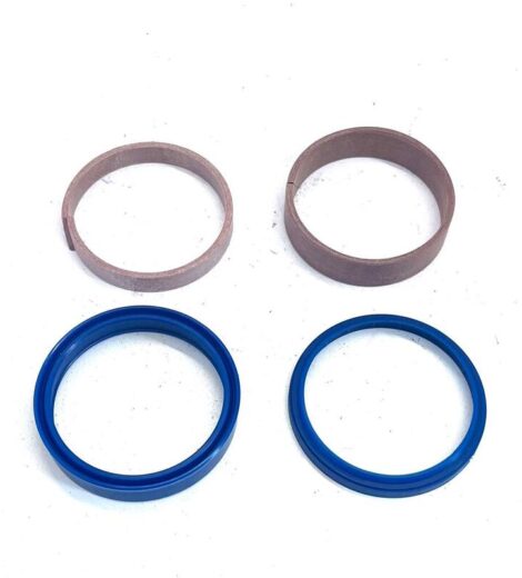 SERIE ANELLI TENUTA - LANDINI - 3665413M91