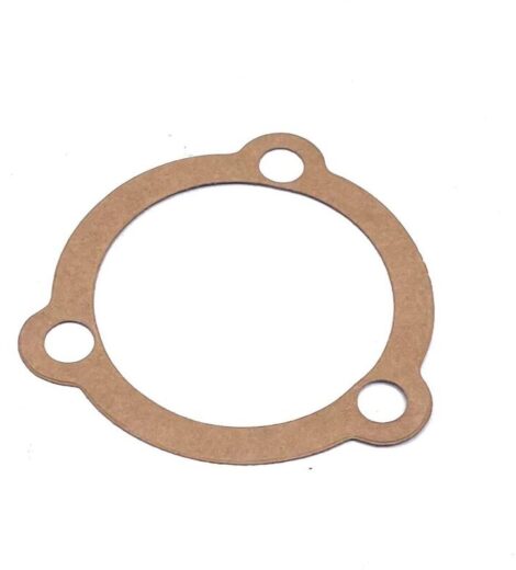 GUARNIZIONE FLANGIA - BCS - 58002531