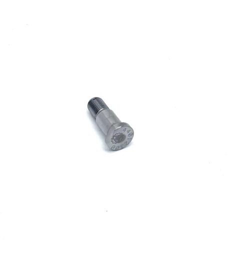 VITE SPECIALE FISSAGGIO TERMINALE ALBERO PRESA DI FORZA - AFTERMARKET - 44012300