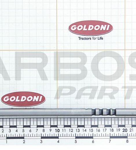 ASTA SELEZIONE INGRANAGGIO - GOLDONI - 00000164