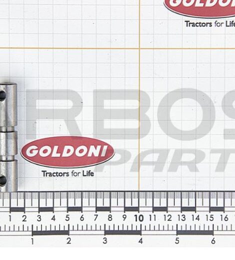 PIN - GOLDONI - 00017797