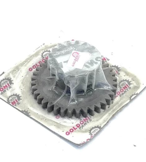 REDUCER FIXED GEAR - GOLDONI - 00660572