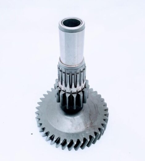 DOUBLE GEAR WITH SHAFT - LANDINI - 3534374M92