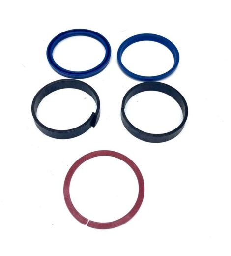 SERIE ANELLI DI TENUTA - LANDINI - 4217343M91