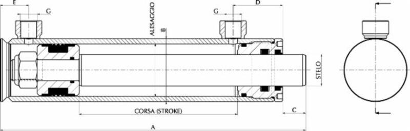 CILINDRO IDRAULICO DOPPIO EFFETTO STANDARD - AMA RICAMBI - 0905040 - immagine 2