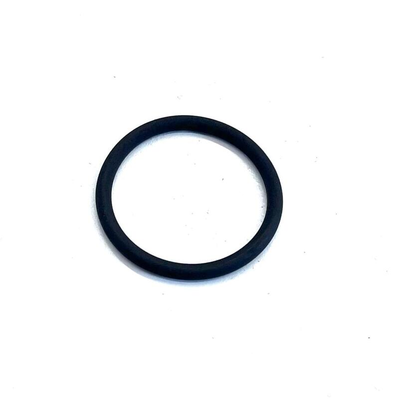 ANELLO OR 25,07x2,62 - BCS - 38112510