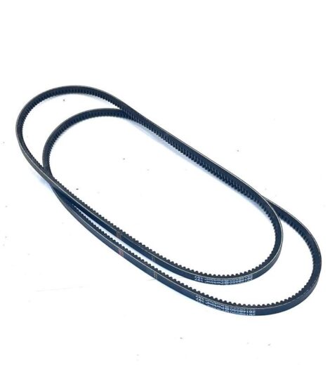 COPPIA CINGHIE - LANDINI - 6678008A1