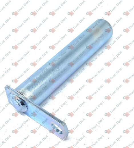 PERNO LEVA FRIZIONE - GOLDONI - 00034113