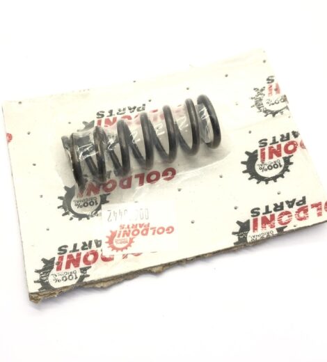 MOLLA INTERNA FRIZIONE DI STERZO - GOLDONI - 00660442