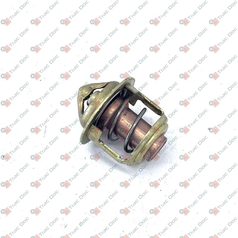 TERMOSTATO - LANDINI - 6677393A1