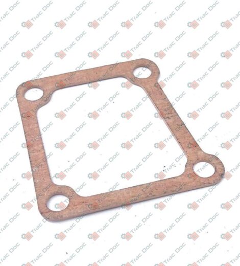 GUARNIZIONE - LANDINI - 6679985A1