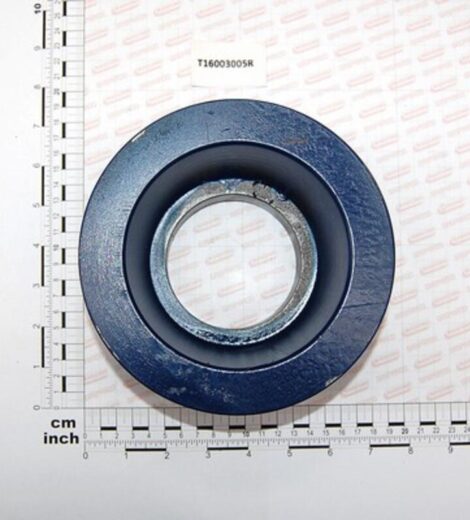 PULEGGIA A 4 GOLE - MASCHIO - T16003005R